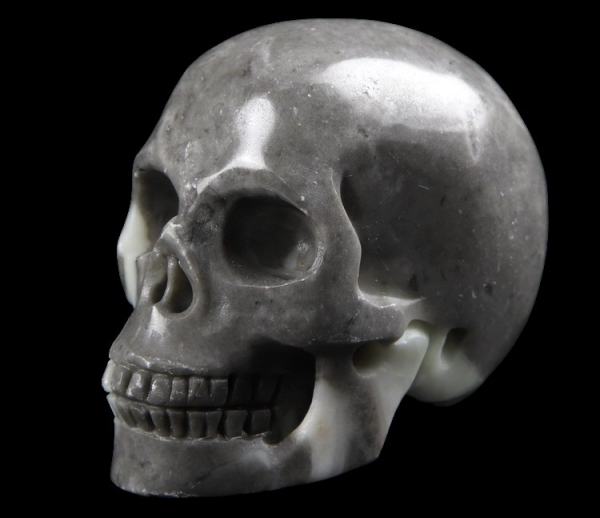 Fossil Stone Skull